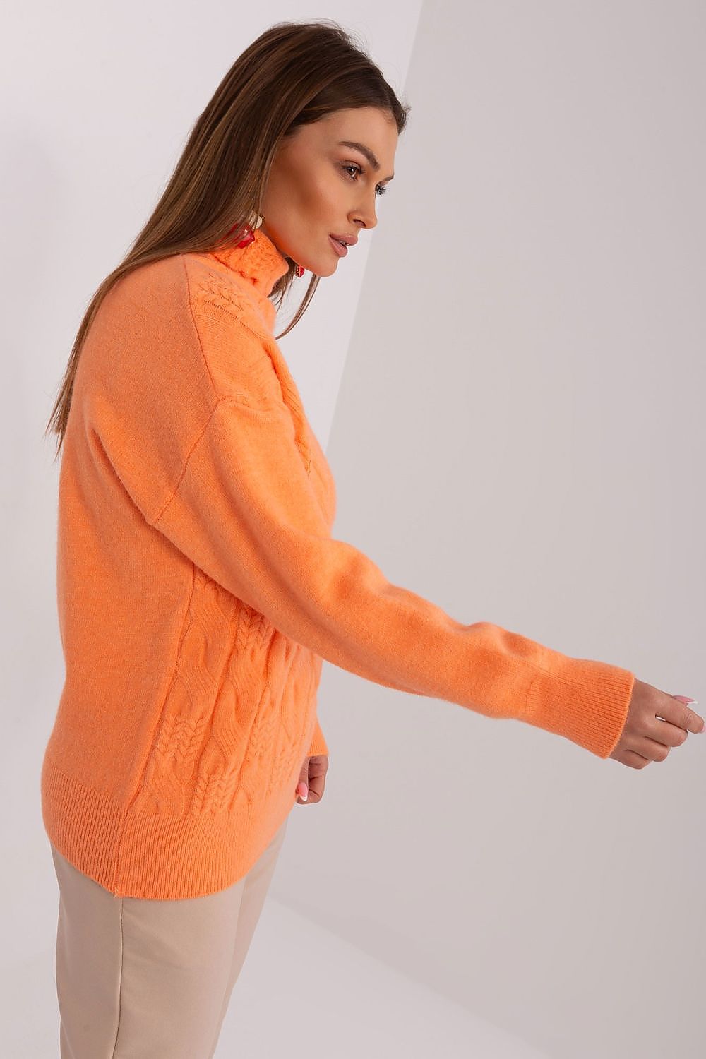  Turtleneck model 189887 AT 